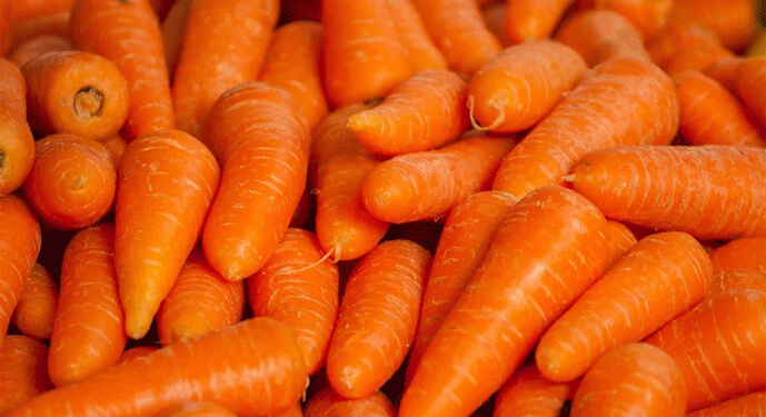 Challenging the Norm: A Profitable Case for Rainfed Carrot Production in Western Ukraine