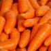 Challenging the Norm: A Profitable Case for Rainfed Carrot Production in Western Ukraine