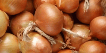 Kazakhstan’s Bold Bet on Bulbs & Spuds: Decoding a Domestic Demand Surge