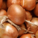 Kazakhstan’s Bold Bet on Bulbs & Spuds: Decoding a Domestic Demand Surge