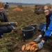 Mogilev’s Bounty: A Case Study in Maximizing Root Vegetable Yields Through Technology and Coordination
