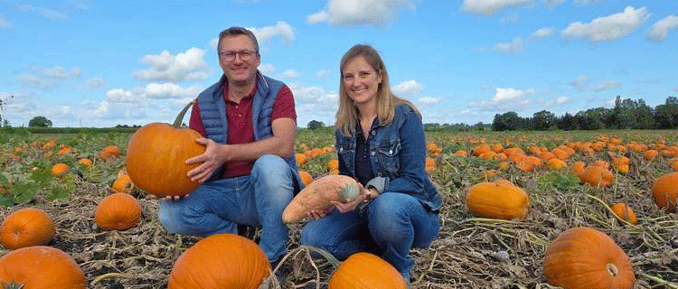 Outsmarting Pests, Preserving Diversity: A Grower’s Adaptive Strategy Saves the Season