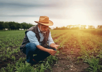 Bridging the Innovation Gap: Why Government-Backed Seminars are Key to Unlocking Tech for Every Farmer