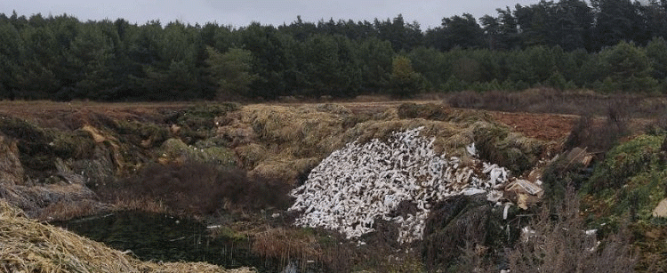 Beyond the Fence Line: The Hidden Liabilities of Land Mismanagement on Your Farm