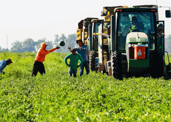 The $9 Billion Blueprint: How Fresno County Became America’s Ag Powerhouse