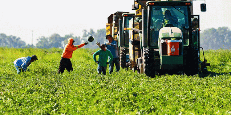 The $9 Billion Blueprint: How Fresno County Became America’s Ag Powerhouse