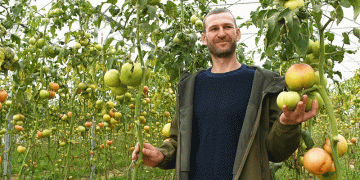 From Homestead to High-Tech: How Modern Greenhouses are Reshaping Kuban’s Agricultural Landscape