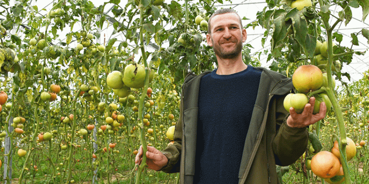 From Homestead to High-Tech: How Modern Greenhouses are Reshaping Kuban’s Agricultural Landscape