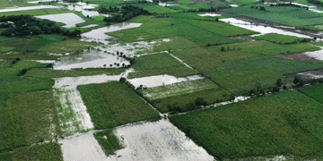 After the Storm: Quantifying Typhoon Tino’s Blow to Negros Agriculture and Infrastructure
