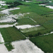 After the Storm: Quantifying Typhoon Tino’s Blow to Negros Agriculture and Infrastructure