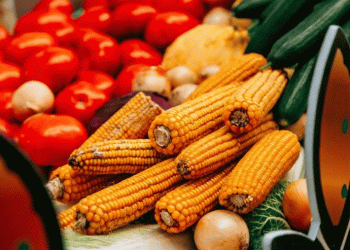 Grant Money in Action: How Chuvashia is Strategically Funding its Agricultural Future