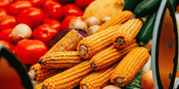 Grant Money in Action: How Chuvashia is Strategically Funding its Agricultural Future