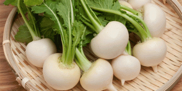The Turnip’s Return: Market Opportunity and a Breeding Gap in Russia’s Root Vegetable Sector