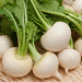 The Turnip’s Return: Market Opportunity and a Breeding Gap in Russia’s Root Vegetable Sector