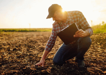 Beyond the Field: How Standardized Farm Data is Becoming the New Currency of Resilience
