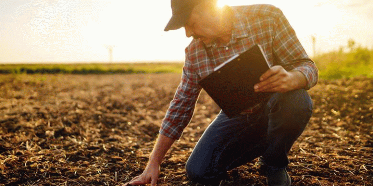 Beyond the Field: How Standardized Farm Data is Becoming the New Currency of Resilience