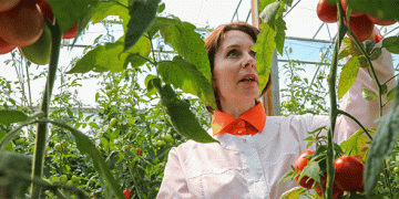 The Great Reshuffle: How Russia’s Ag Sector is Battling a 135% Surge in Job Vacancies