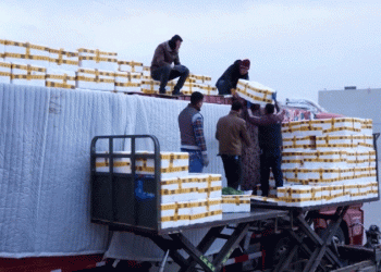 The 30-Hour Fresh Corridor: How China’s Logistics Revolution is Reshaping Central Asian Agriculture