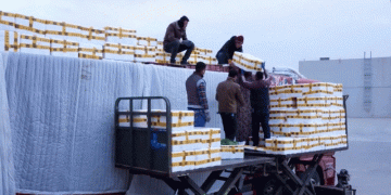 The 30-Hour Fresh Corridor: How China’s Logistics Revolution is Reshaping Central Asian Agriculture