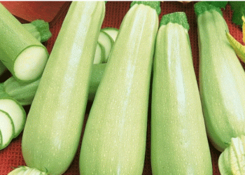 Beyond the City Market: What Urban Demand Signals Mean for Modern Agriculture