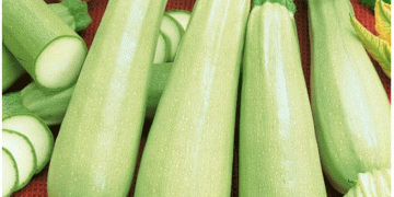 Beyond the City Market: What Urban Demand Signals Mean for Modern Agriculture