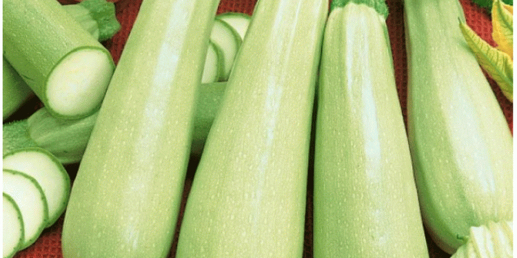 Beyond the City Market: What Urban Demand Signals Mean for Modern Agriculture