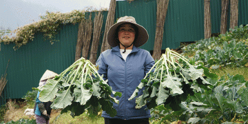 Harvesting Scarcity: How Strategic Timing in Sapa Turns Climate into Cash