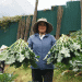 Harvesting Scarcity: How Strategic Timing in Sapa Turns Climate into Cash