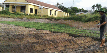 From Pilot Plots to Premium Markets: Vinh Loc’s Blueprint for Profitable, Clean Agriculture