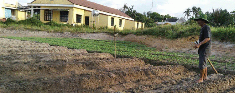 From Pilot Plots to Premium Markets: Vinh Loc’s Blueprint for Profitable, Clean Agriculture