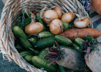 Beyond the Borscht: How Record Yields in Penza are Reshaping Local Food Security and Markets