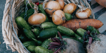 Beyond the Borscht: How Record Yields in Penza are Reshaping Local Food Security and Markets