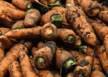 The Silent Shipment: 347 Tons of Produce Slip into Kuzbass, Bypassing Critical Food Safety Gates