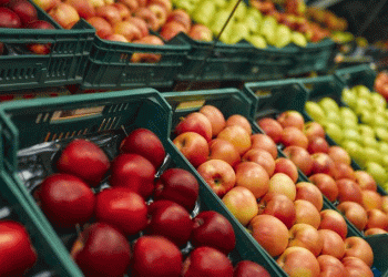 The £8.78 Return: How Smart Public Investment in Organic Supply Chains Builds Health, Wealth, and Resilience