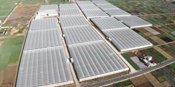 From “Digital Soil” to Global Plates: How Midu County is Building a Model for the High-Tech Organic Farm of the Future