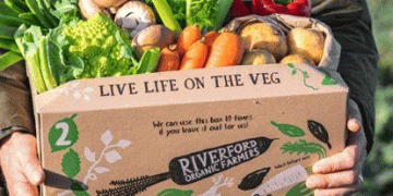 From Farm to Data Field: How Riverford’s Digital Evolution Is Reshaping Direct-to-Consumer Agribusiness