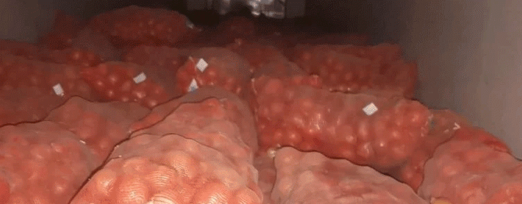 Border Block: How Missing Labels Halted 40 Tons of Onions and Why Traceability is Non-Negotiable